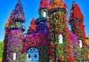Beautiful Flowers House