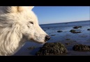 Beauty and the Beach