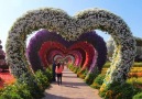 Beauty Of Planet Earth - The Beautiful Dubai Miracle Garden Facebook