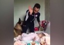 Bebeğe vurma numarası yapan adam ve bebeği koruyan koca yürekli köpek