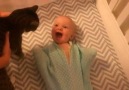 Bebeğin ilk kez kediyle tanışması