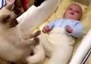 Bebeği sakinleştirmeye çalışan kedi