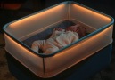 Bebekler Uyusun Diye Otomobil Ortamı Yaratan Beşik Bilgi için