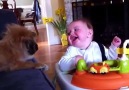 Bebekler ve Köpekler -)