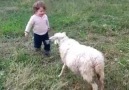 Bebek ve koyunun mutluluğu :D