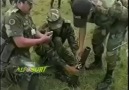 Beceriksiz Kolombiya Askeri