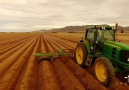 Bed prep for the next crop of lettuce.