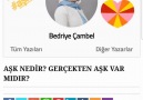 Bedriye Arık Çambel