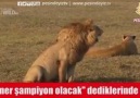 BEĞEN & PAYLAŞ İZLE & İZLETTİR HAHAHAHA