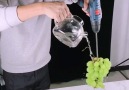 behind the screen of food video photography