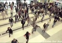 Beirut Airport Dance with Pashto music..!!!