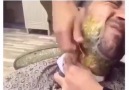 Belasını arıyan adam