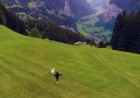 Belgesel Günlüğü - Harika manzarasıyla İsviçre... Facebook