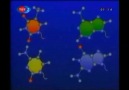 Belgin Rüzgar - DNA-Tarihçesi