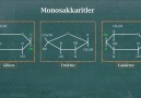 Belgin Rüzgar - Karbon ve Karbonhidratlar