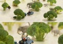 Bellissime miniature di unartista giapponese...