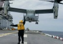 Belo vdeo de um V-22 Osprey pousandoAutor do vdeo @roebot17Instagram