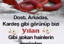 Ben AMİN diyorum başka kimler AMİN der.AMİN AMİN AMİN