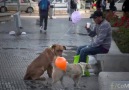 Ben Buradayım... Lütfen Beni Farkedin...