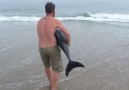 Benguela Dolphin released back into the ocean
