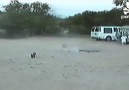 Benim Adım Bomba Soyadım Ölüm Lannn D (y) Yarasa TV