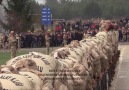 BEN TÜRK ASKERİYİM SESLENDİREN MEHMET... - Mehmet Yurduseven