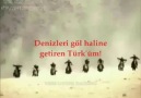 Ben TÜRK' üm..