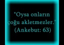 Beşeri Anayasanın Saygı Duyduğu Din Demokrasi Dinidir