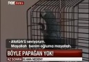 BEŞİKTAŞLI PAPAĞAN EFE :)