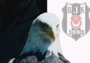 Beşiktaş 100. Yıl Marşı ...