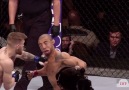 Best Crazy Moments in UFC HD Legends of MMA