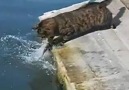 best fisherman