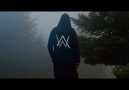 Best Music - Alan walker - Our history (New Style 2019) Facebook