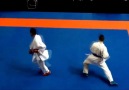 Best of Kumite Karate WKF