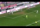 Best of Manuel Fernandes 2012