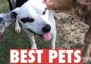 Best pets of the week!