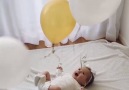Best way to keep your baby entertained for hours... Via (@jossemoberg)