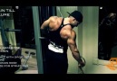 BE Training Series - Triceps (short)