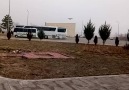 Beyaz Erkek atmacadan sonra yıkılmadım demeye çalışıyor galiba )