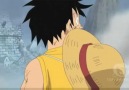 Beyazsakal Korsanları Luffy'i korurken