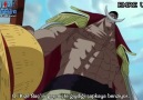 Beyazsakal Luffy Konuşması
