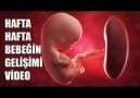 Beynimin kırıntıları - wie man schwanger wird Facebook