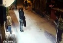 Beyoğlunda hayvan şiddeti Sokak köpeğine kemerle saldırıp bıçakladılar