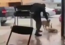 Bıçakla köpeklere saldırdıLÜTFEN BU ŞEREFSİZ BULUNANA KADAR PAYLAŞALIM