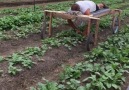 Bien-Aime&Farm - This is how we take care of weeds....