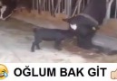 Bi git lan )Paylaşmayı unutmayın..