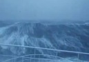 Big Wave