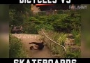 Bike Fails vs Skateboard Fails