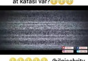 Bilgi Şehri - Atlara Fısıldayan Adam Faruk Facebook