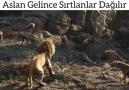 BİLİKAN AŞİRETİ